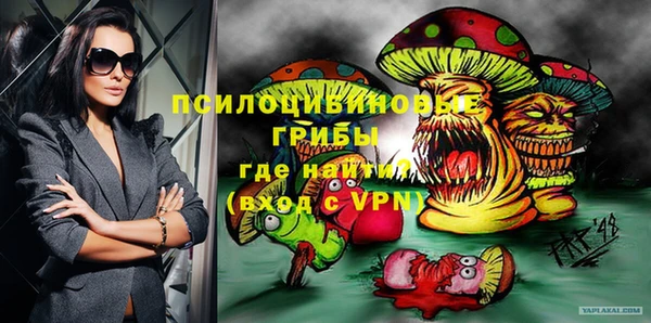 соль ск Кинешма