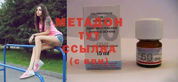 индика Козловка