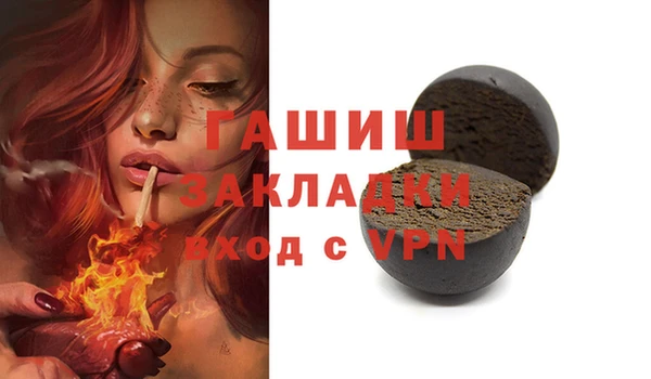 индика Козловка