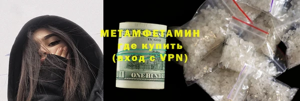 индика Козловка
