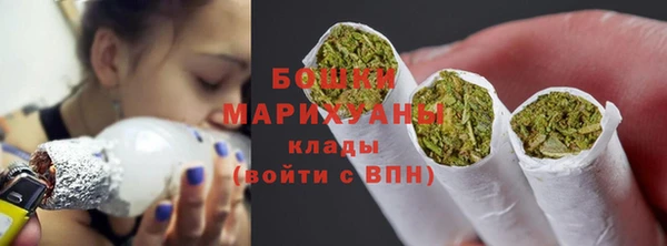 индика Козловка