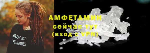 индика Козловка