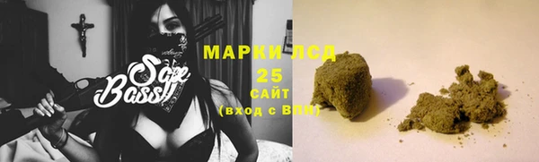 индика Козловка
