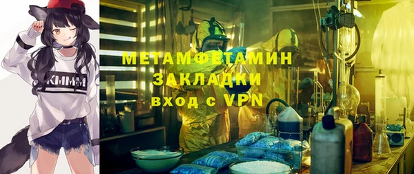 индика Козловка
