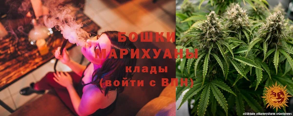 индика Козловка