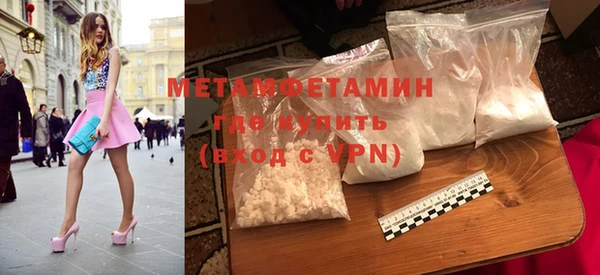 индика Козловка