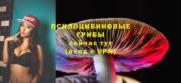 индика Козловка