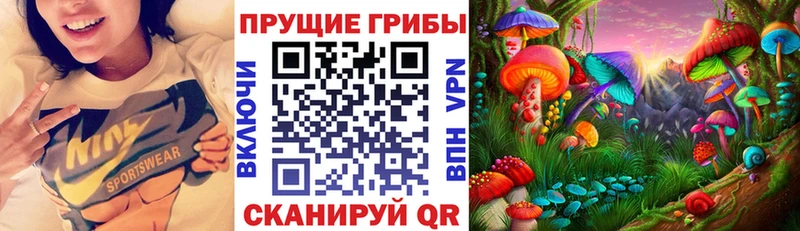 Купить где  Кизел  Галлюциногенные грибы Cubensis 